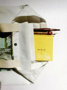 王建锋绘画艺术衍生品与亮宝楼文创 艺术与商业的完美融合